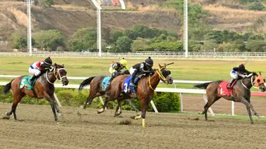 Presta mucha atención: El ajuste que pone a esta yegua por encima de las favoritas para el 5y6 dominical Presta mucha atención: El ajuste que pone a esta yegua por encima de las favoritas para el 5y6 dominical