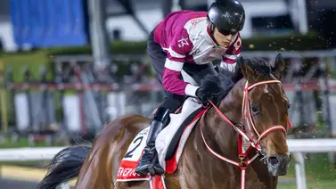 Mira aquí el dividendo del morning line que ofrece Forever Young para la Dubai World Cup Mira aquí el dividendo del morning line que ofrece Forever Young para la Dubai World Cup