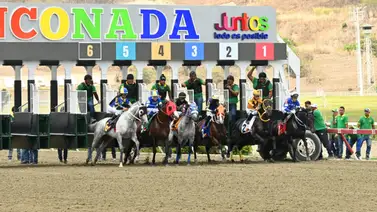 La Rinconada: Datos de Última Hora para el 29-03-2026 La Rinconada: Datos de Última Hora para el 29-03-2026