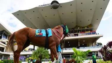 Cinco llaves al éxito: La curiosa repetición numérica que marca la jornada dominical en La Rinconada Cinco llaves al éxito: La curiosa repetición numérica que marca la jornada dominical en La Rinconada
