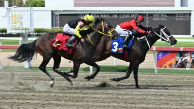 ¿El fijo del domingo? El cronómetro confirma un ajuste espectacular para el 5y6 de La Rinconada ¿El fijo del domingo? El cronómetro confirma un ajuste espectacular para el 5y6 de La Rinconada