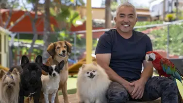 Expo Mascotas 2026: Presenta a César Millán ¡En VIVO! Expo Mascotas 2026: Presenta a César Millán ¡En VIVO!