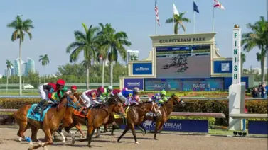 Pronósticos Gulfstream Park: picks gratis y el dato clave para el sábado 28 de marzo Pronósticos Gulfstream Park: picks gratis y el dato clave para el sábado 28 de marzo