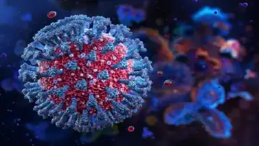 Síntomas de la nueva variante del Covid-19 en Estados Unidos: Nueva York, Florida y otros estados en alerta Síntomas de la nueva variante del Covid-19 en Estados Unidos: Nueva York, Florida y otros estados en alerta