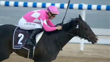 El japonés Wonder Dream se adueña de los 100 puntos al ganador en el UAE Derby (G2) El japonés Wonder Dream se adueña de los 100 puntos al ganador en el UAE Derby (G2)