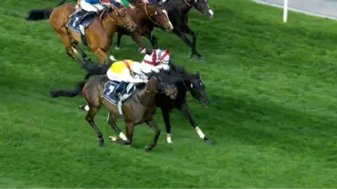 Native Approach en electrizante final se lleva el Al Quoz Sprint (G1T) Native Approach en electrizante final se lleva el Al Quoz Sprint (G1T)