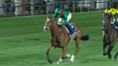Calandagan, la súper estrella equina que brilla en la Dubai Sheema Classic (G1T) Calandagan, la súper estrella equina que brilla en la Dubai Sheema Classic (G1T)