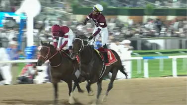 ¡Boricua Power! José Ortiz sobre Magnitude derrota al campeón Forever Young en la Dubai World Cup (G1) ¡Boricua Power! José Ortiz sobre Magnitude derrota al campeón Forever Young en la Dubai World Cup (G1)