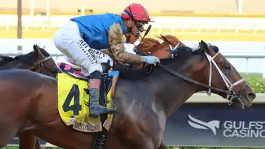 ¡Final no apto para cardíacos! Commandment gana el Florida Derby (G1) y logra 100 puntos en la ruta al Kentucky Derby ¡Final no apto para cardíacos! Commandment gana el Florida Derby (G1) y logra 100 puntos en la ruta al Kentucky Derby