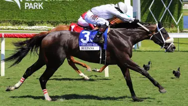 El Atleta Meridiano 2025 por partida doble: Así fue su destacada actuación en el penúltimo día del Championship Meet El Atleta Meridiano 2025 por partida doble: Así fue su destacada actuación en el penúltimo día del Championship Meet