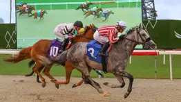 Javier Castellano se luce como el mejor criollo en el Championship Meet de Gulfstream Park