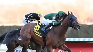 Iron Honor vs Napoleon Solo por un puesto para las Rosas en el Wood Memorial Stakes G2 en Nueva York Iron Honor vs Napoleon Solo por un puesto para las Rosas en el Wood Memorial Stakes G2 en Nueva York