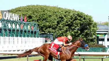 Se retira jockey que ganó más de $30 millones de dólares como profesional Se retira jockey que ganó más de $30 millones de dólares como profesional