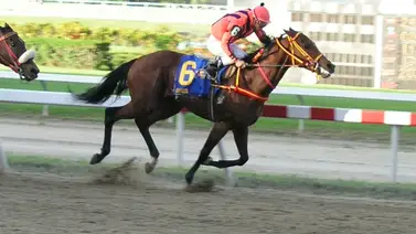 El guerrero del Gran Derby que conquistó la gloria eterna en La Rinconada El guerrero del Gran Derby que conquistó la gloria eterna en La Rinconada