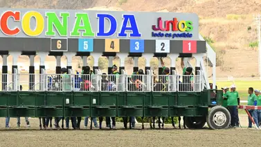 La Rinconada reparte bolsa superior a $380.000 en premios durante el primer domingo de abril La Rinconada reparte bolsa superior a $380.000 en premios durante el primer domingo de abril