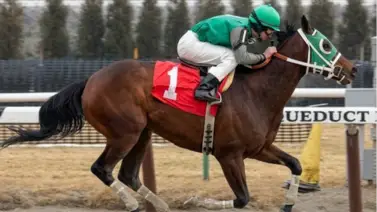 Radiance: A 30 años del nacimiento de la "Reina del Reclamo" venezolana en EE. UU. Radiance: A 30 años del nacimiento de la "Reina del Reclamo" venezolana en EE. UU.