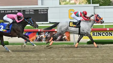 Atención en las válidas: Veloz ejemplar retorna a la acción con un descargo clave en Coche Atención en las válidas: Veloz ejemplar retorna a la acción con un descargo clave en Coche