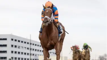 Zany vs. Percy’s Bar por los $750,000 del Ashland Stakes (G1) en la ruta al Kentucky Oaks (G1) Zany vs. Percy’s Bar por los $750,000 del Ashland Stakes (G1) en la ruta al Kentucky Oaks (G1)
