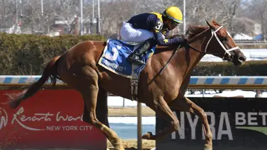 Kentucky Oaks: Paradise encabeza el pelotón del Gazelle Stakes G3 en Aqueduct Kentucky Oaks: Paradise encabeza el pelotón del Gazelle Stakes G3 en Aqueduct