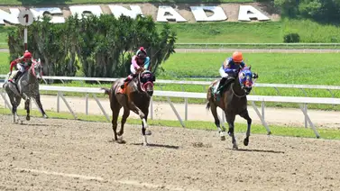 Hijo de Pedro Caimán y nieto de Water Jet: regreso de oro tras más de un año sin correr Hijo de Pedro Caimán y nieto de Water Jet: regreso de oro tras más de un año sin correr