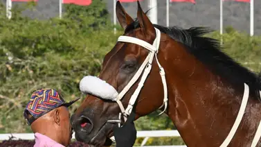 Tras los pasos de Hollywood: Su media hermana asume el reto en La Rinconada Tras los pasos de Hollywood: Su media hermana asume el reto en La Rinconada