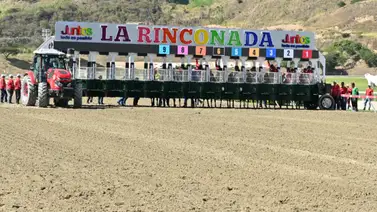 Trilogía de naciones: Hija de semental americano y nieta de astros del sur debuta en La Rinconada Trilogía de naciones: Hija de semental americano y nieta de astros del sur debuta en La Rinconada