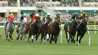 Este jueves inicia el Royal Palm Meet con nueve carreras en Gulfstream Park Este jueves inicia el Royal Palm Meet con nueve carreras en Gulfstream Park