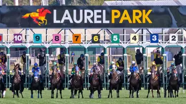Este viernes arranca el Spring Meet de Laurel Park Este viernes arranca el Spring Meet de Laurel Park
