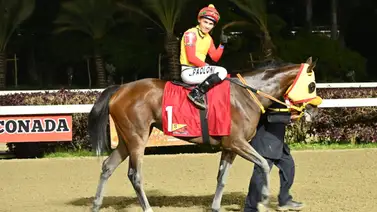 Yunta ganadora del Clásico Simón Bolivar se estrena este domingo con una potra que se sale de la Gaceta Yunta ganadora del Clásico Simón Bolivar se estrena este domingo con una potra que se sale de la Gaceta