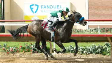 Mohaven con Emisael Jaramillo regresa en busca de su segunda victoria en stakes Mohaven con Emisael Jaramillo regresa en busca de su segunda victoria en stakes