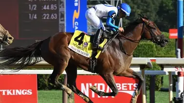 Book'em Danno, campeón velocista, está de vuelta para el Carter Stakes (G2) de $300,000 Book'em Danno, campeón velocista, está de vuelta para el Carter Stakes (G2) de $300,000