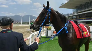 Cuidado en la quinta: El factor sorpresa en La Rinconada que pocos ven para la reunión 15 Cuidado en la quinta: El factor sorpresa en La Rinconada que pocos ven para la reunión 15