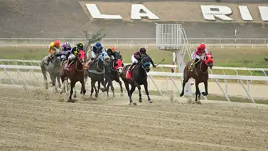 Por este motivo no montó Yonecso Bermúdez este domingo en La Rinconada Por este motivo no montó Yonecso Bermúdez este domingo en La Rinconada