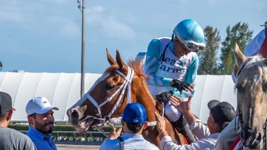 Conoce el tiempo que tenía Daniel Centeno sin ganar un Graded Stakes en Gulfstream Park