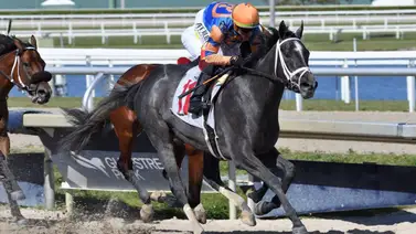 Dos jockeys de Puerto Rico consiguen este récord en Estados Unidos Dos jockeys de Puerto Rico consiguen este récord en Estados Unidos