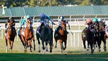 Conoce cuando inicia el nuevo meeting de Gulfstream Park en Estados Unidos