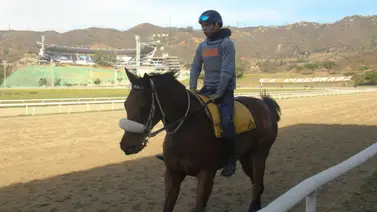 Robert Capriles retorna a la pista para la reunión 13 de La Rinconada Robert Capriles retorna a la pista para la reunión 13 de La Rinconada
