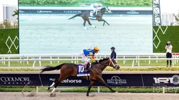 A pesar del galope de Fierceness en el Florida Derby no es el principal favorito, mira aquí cuál es