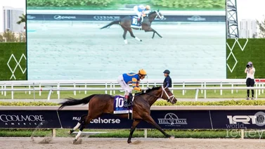 A pesar del galope de Fierceness en el Florida Derby no es el principal favorito, mira aquí cuál es