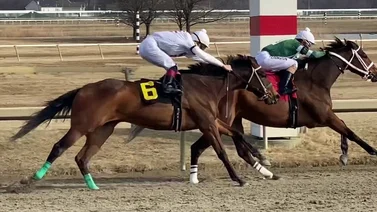 ¿Sabía Ud que hay un jockey venezolano entre los 4 primeros de Estados Unidos?