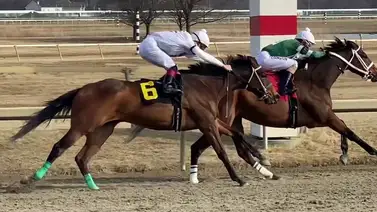 ¿Sabía Ud que hay un jockey venezolano entre los 4 primeros de Estados Unidos? ¿Sabía Ud que hay un jockey venezolano entre los 4 primeros de Estados Unidos?