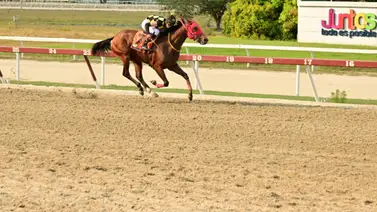Mira el tiempo que tenía sin ganar este aprendiz en La Rinconada Mira el tiempo que tenía sin ganar este aprendiz en La Rinconada