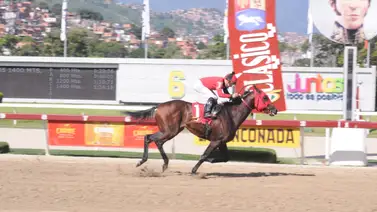 Gran Pepe regresa al óvalo de La Rinconada Gran Pepe regresa al óvalo de La Rinconada