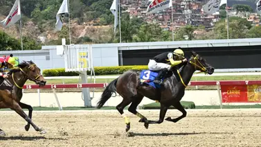 Siete yeguas lucharán por obtener el triunfo en esta prueba selectiva Siete yeguas lucharán por obtener el triunfo en esta prueba selectiva
