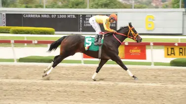 Dany Pimentel reaparece a esta yegua luego de 182 días sin correr Dany Pimentel reaparece a esta yegua luego de 182 días sin correr