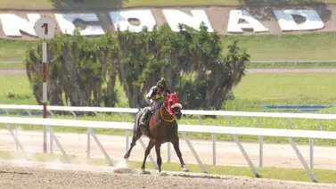Johan Aranguren monta alazán que tiene 238 días con competir en La Rinconada Johan Aranguren monta alazán que tiene 238 días con competir en La Rinconada
