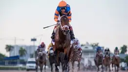 Fierceness Gran Favorito en el Morning Line de Churchill Downs