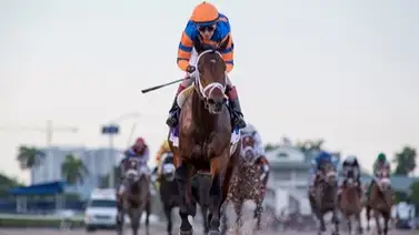 Fierceness Gran Favorito en el Morning Line de Churchill Downs Fierceness Gran Favorito en el Morning Line de Churchill Downs