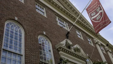 Harvard lanza más de 100 cursos gratis para aprender online