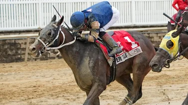Un venezolano y un boricua entre los 3 mejores jockeys aprendices de 2024 en Estados Unidos